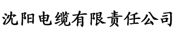 经典千人斩日产电缆厂logo